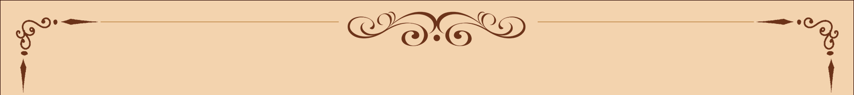 brown-section-col2-dec-top